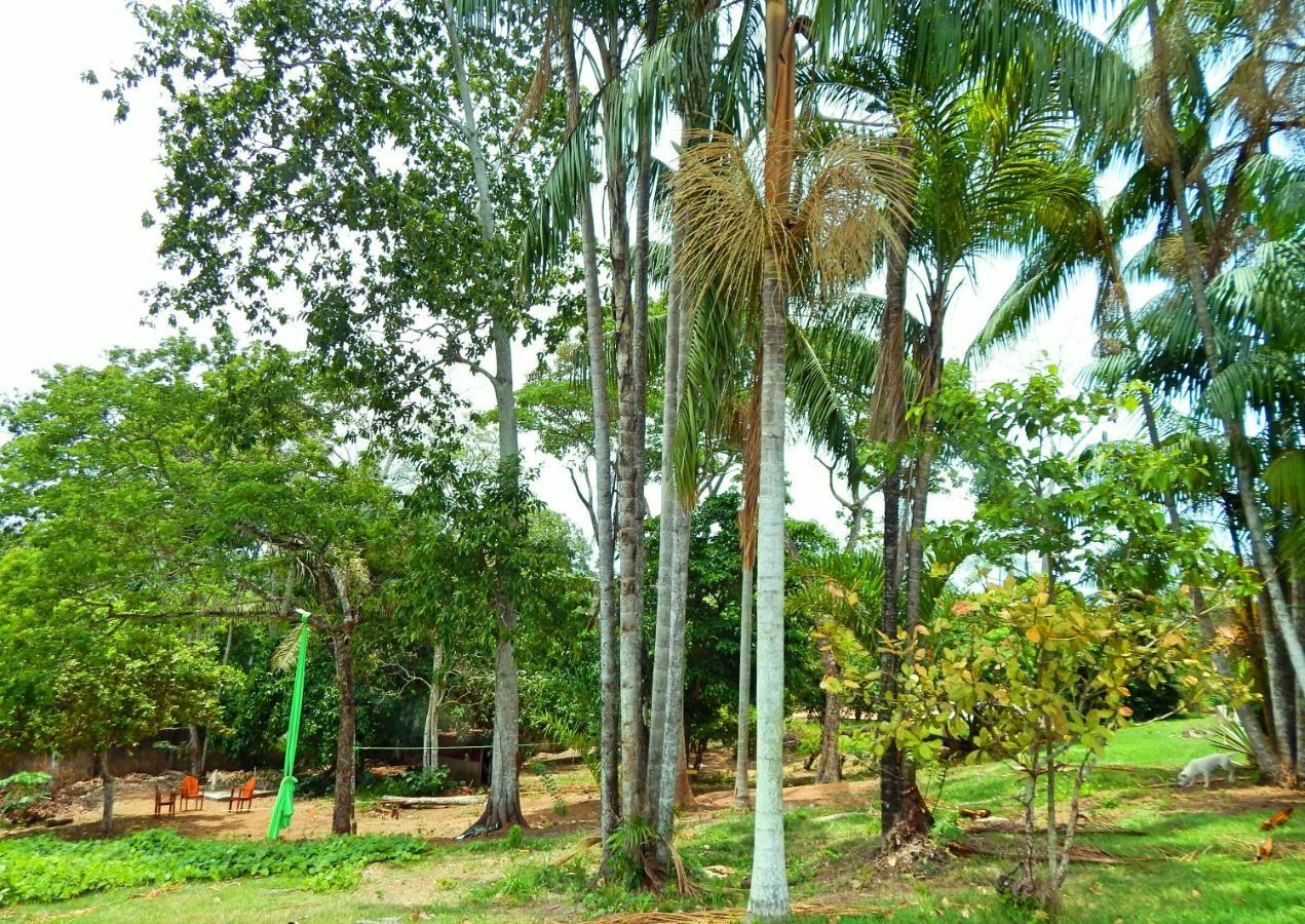 Jardins Guesthouse Rio Branco Eksteriør billede